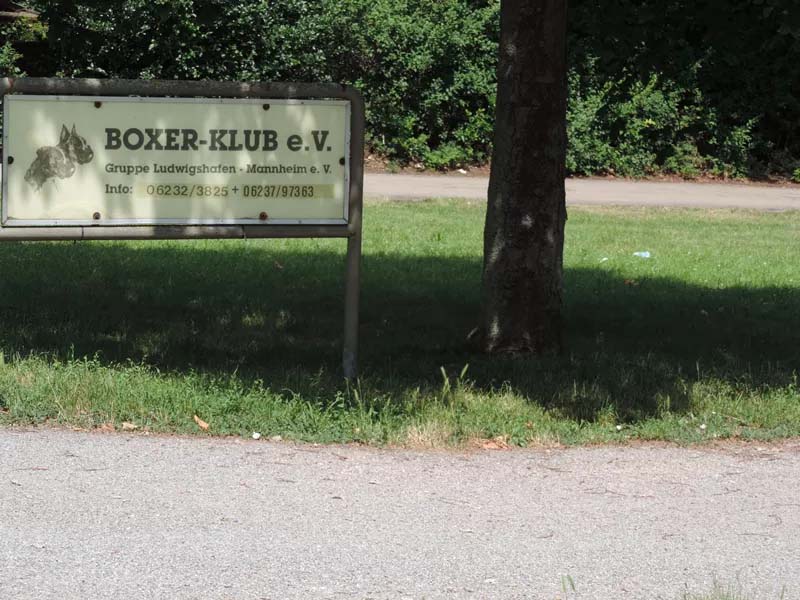 Einfahrt zum Verinsgelände Boxerklub Ludwigshafen